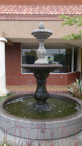 Health Center Fountain 