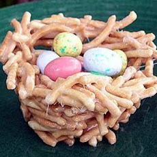 Bird Nests
