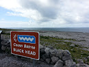 Black Head Burren