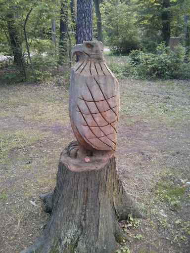 Adler am Waldfriedhof