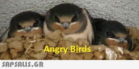 Angry Birds 