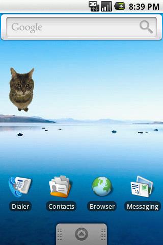 Kitty Widget