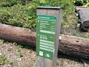 Overlook Trail Marker