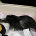 100_5024 SLEEP TIGHT.JPG
