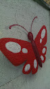 Butterfly Graffiti  