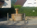 Town Center Fountain 