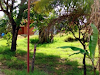 500 Mt2 Lot In Santa Ana$65000¢35000000