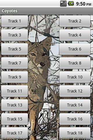 【免費娛樂App】Coyote Sound Effects-APP點子