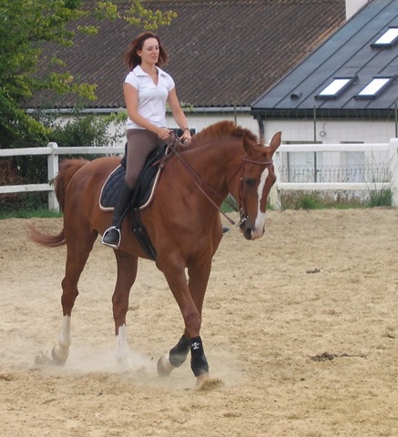 [2008-08-14 chez Zazette 075[5].jpg]