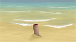 beach sand test (including amputeed human leg)