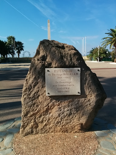 Esplanade Du Bachaga Boualam 1906-1982