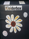 Flower on the box