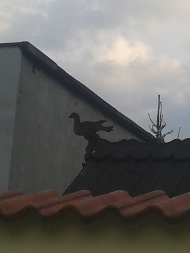 Drewniany Ptak