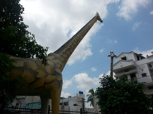 Giraffes Idol