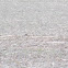 Horned Lark
