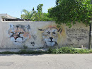 Lions Grafitti