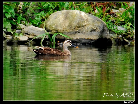 [±4((2008-06-08ýP)0038[3].jpg]