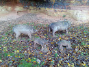 Schweine an Der Weihermühle