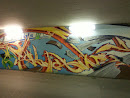 Raven Graffiti