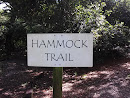 Hammock Trail