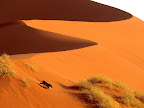 Crossing the Sand Dunes of Sossusvlei Park, Namibia, Africa.jpg