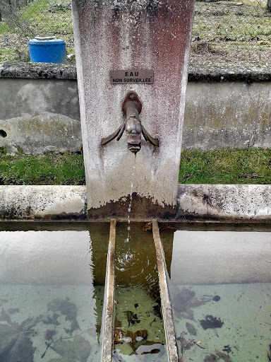 Antique Fountain