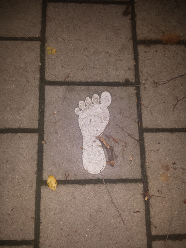 Eternal Footprint
