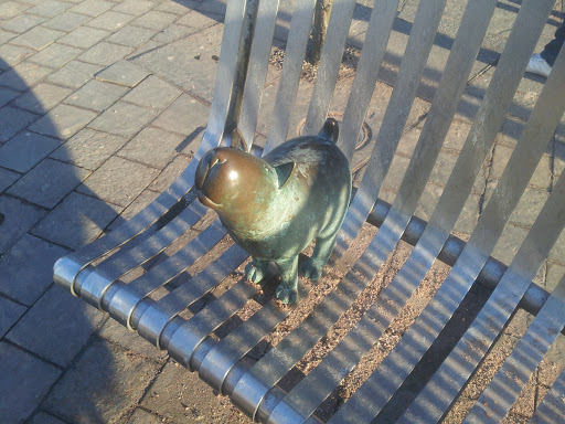 Dog Standing on the Bench 