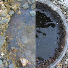 Frozen puddle in the middle of a pothole pie