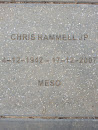Jack Watkins Reserve Chris Rammell Memorial Stone
