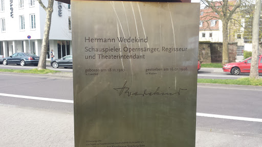 Hermann Wedekind