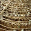 silk worm cocoons