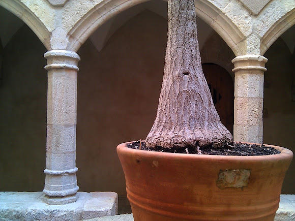 Spotting Image 1