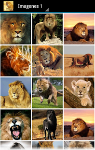 How to get Imágenes de Leones 1.0 mod apk for pc