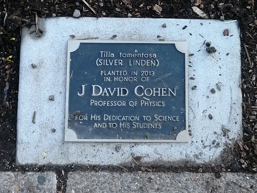 J David Cohen Honorary Tree Plaque