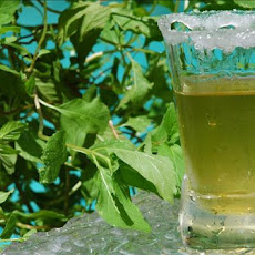Mint Julep