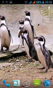 How to get Penguin Live Wallpaper 1.0 unlimited apk for pc