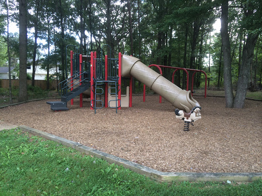 Silas Burke Park Playground