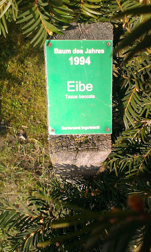 Baum Des Jahres 1994