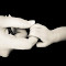 Greyson-35.jpg