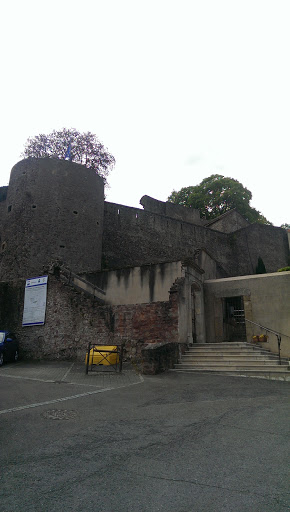 Chateau des Ducs de Lorraine