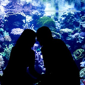 by Jay Goldman - Wedding Engagement