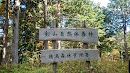剣山自然休養林