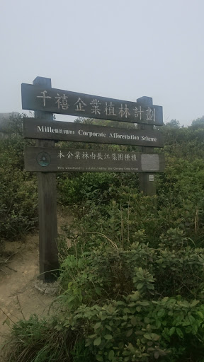 Millennium Corporate Afforestation Scheme Memorial Sign