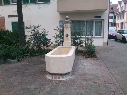 Brunngasse Fountain Münchenstein 