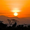 _DSC8998-1.jpg