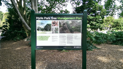 Hyde Park Tree Management Plan Sign