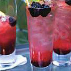 Blackberry-Ginger Sour Highballs