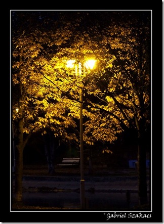 dscf5298_f_600