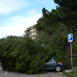 Ciclog�nesis explosiva